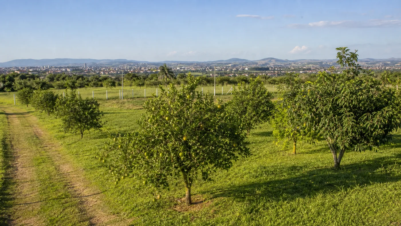 Terreno com pomar em Taubaté