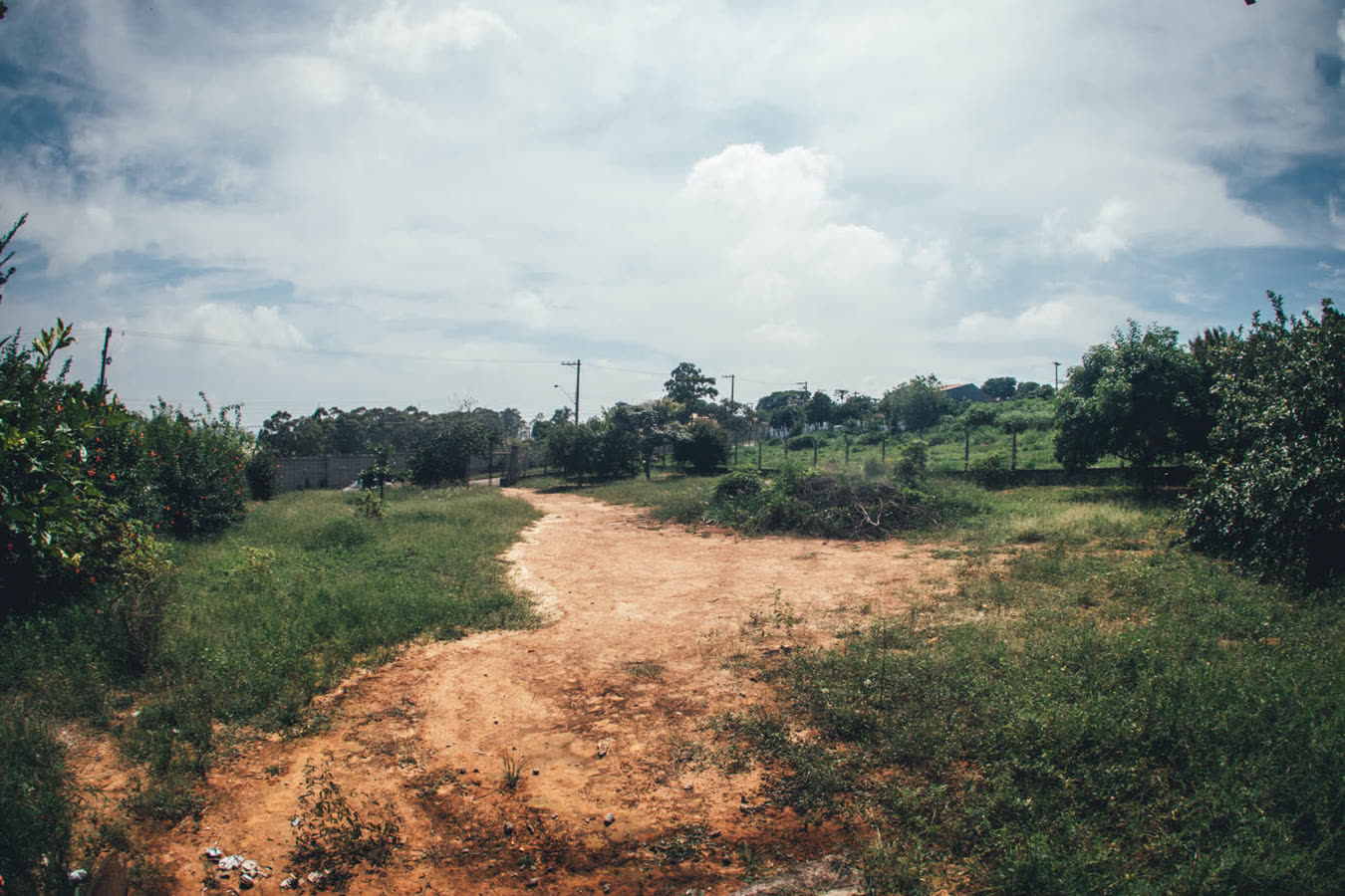 Outra visão do pomar do terreno em Taubaté